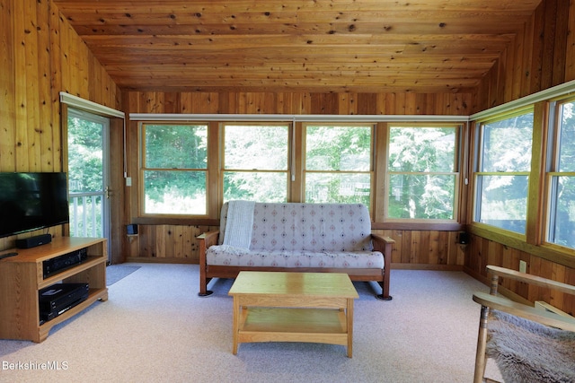 119 Hayes Pond Rd, Otis, MA 01253 - photo 16