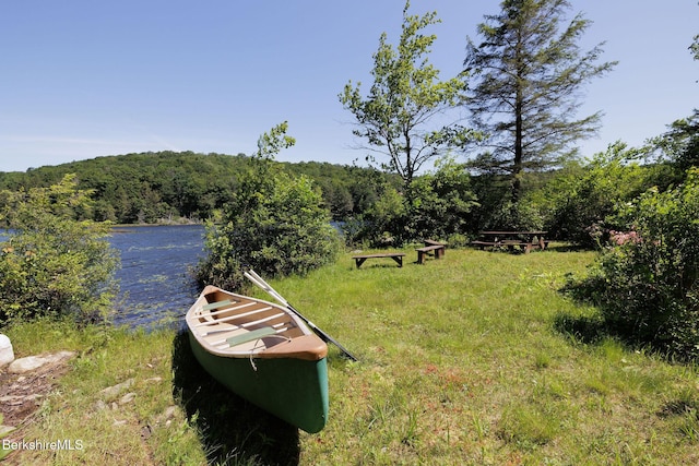 119 Hayes Pond Rd, Otis, MA 01253 - photo 45