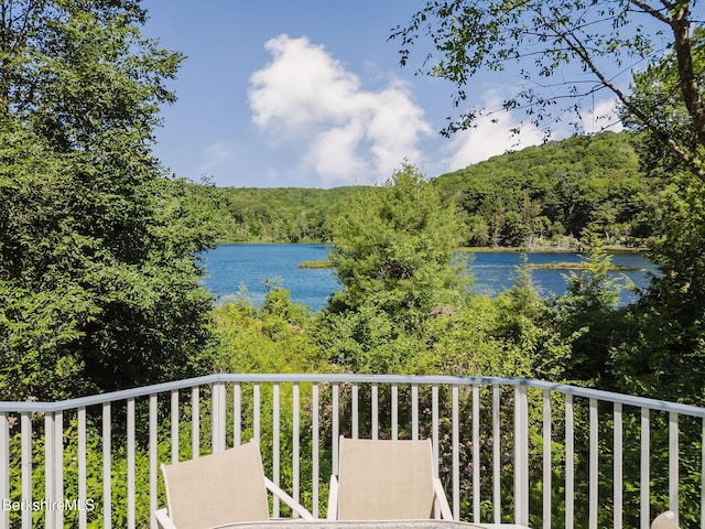 119 Hayes Pond Rd, Otis, MA 01253 - photo 17