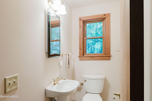119 Hayes Pond Rd, Otis, MA 01253 - photo 29
