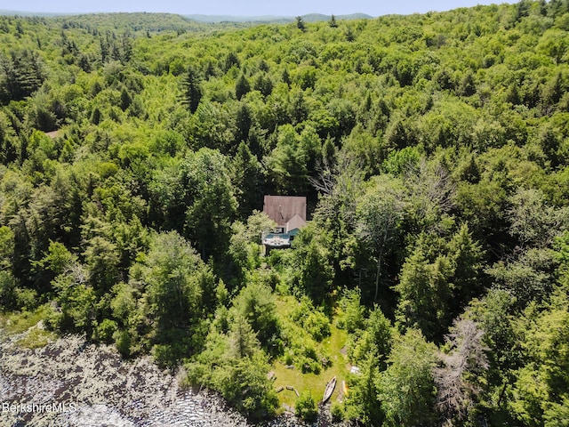 119 Hayes Pond Rd, Otis, MA 01253 - photo 48
