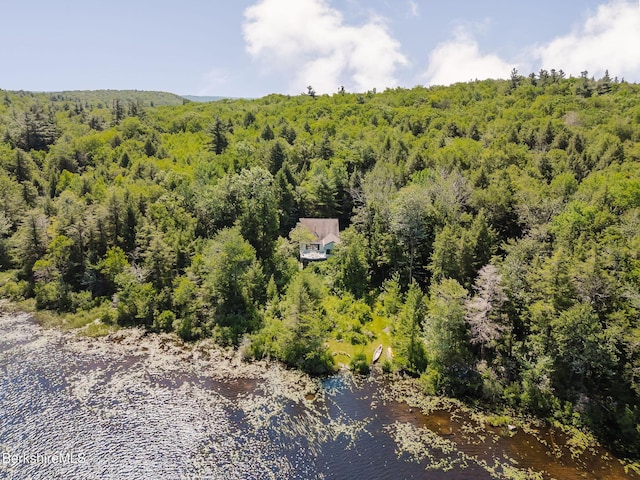 119 Hayes Pond Rd, Otis, MA 01253 - photo 49