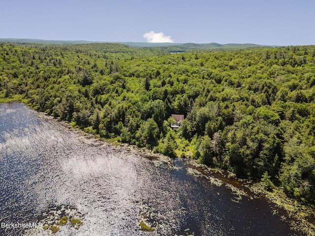 119 Hayes Pond Rd, Otis, MA 01253 - photo 50