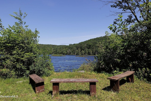 119 Hayes Pond Rd, Otis, MA 01253 - photo 43