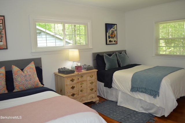 162 Ymca Rd, Becket, MA 01223 - bedroom featuring multiple windows, wood finished floors, and ornamental molding