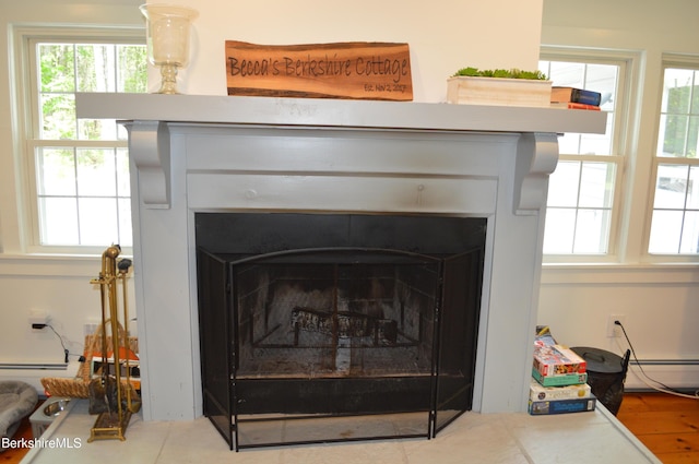 162 Ymca Rd, Becket, MA 01223 - detailed view of a fireplace and a baseboard radiator