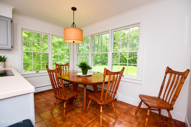 162 Ymca Rd, Becket, MA 01223 - tiled dining area with plenty of natural light, ornamental molding, and baseboards