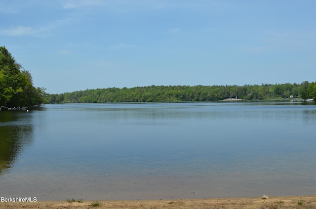 162 Ymca Rd, Becket, MA 01223 - water view with a heavily wooded area
