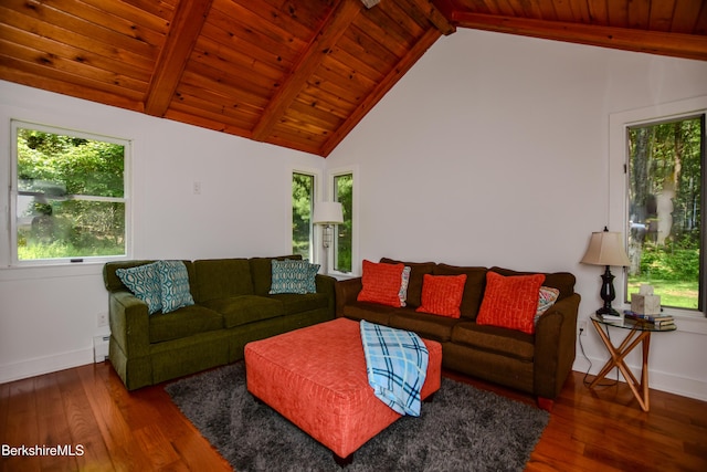 162 Ymca Rd, Becket, MA 01223 - living area with hardwood / wood-style flooring, wood ceiling, and healthy amount of natural light