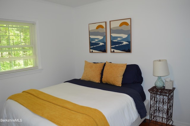 162 Ymca Rd, Becket, MA 01223 - bedroom with ornamental molding