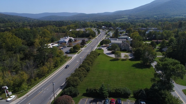 Main St, Williamstown, MA 01267 - photo 4