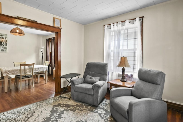 sitting room featuring wood-type flooring