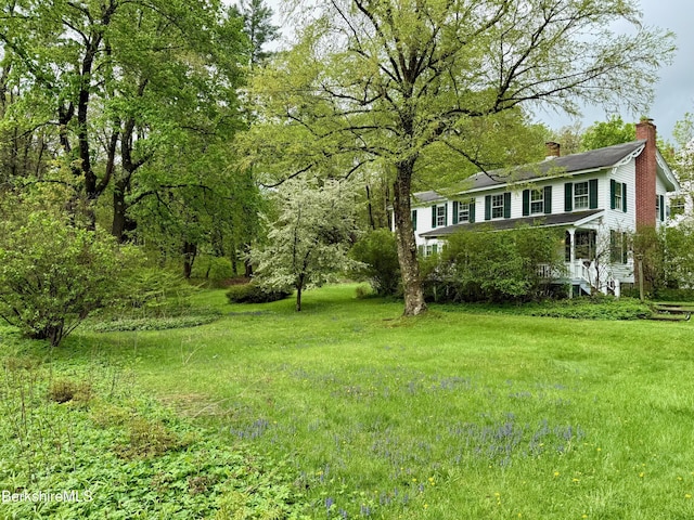 57 S St, Great Barrington, MA 01230 - view of yard