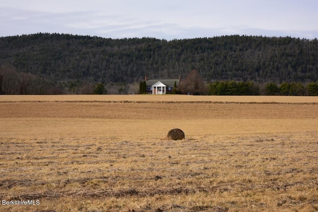 view of yard featuring a rural view