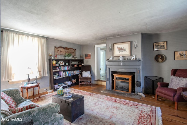 3 Lake Buel Rd, Great Barrington, MA 01230 - living room with a glass covered fireplace and wood-type flooring