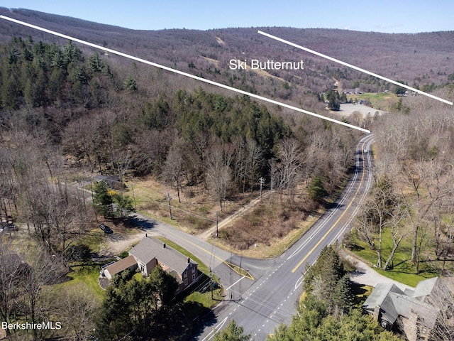 3 Lake Buel Rd, Great Barrington, MA 01230 - drone / aerial view featuring a forest view