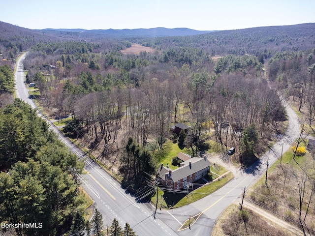 3 Lake Buel Rd, Great Barrington, MA 01230 - drone / aerial view featuring a mountain view and a forest view