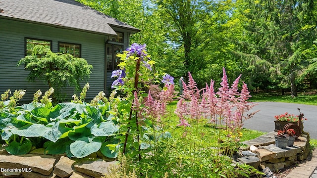 765 Canaan Rd, Richmond, MA 01254 - photo 67