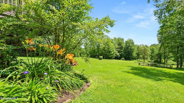 765 Canaan Rd, Richmond, MA 01254 - photo 16