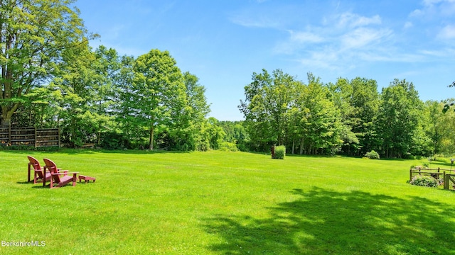 765 Canaan Rd, Richmond, MA 01254 - photo 15