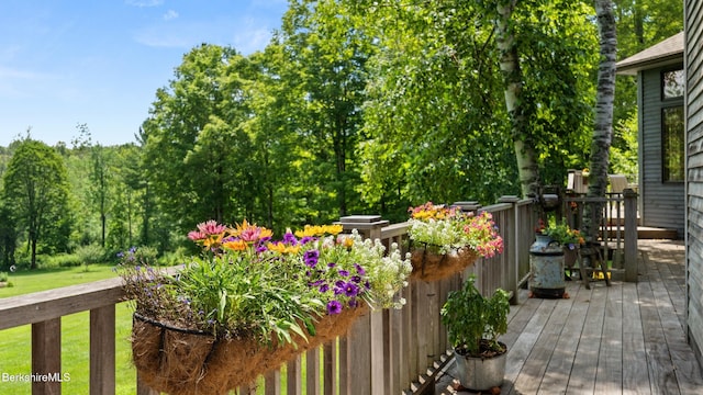 765 Canaan Rd, Richmond, MA 01254 - photo 20