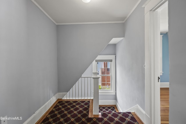 111 Northumberland Rd, Pittsfield, MA 01201 - photo 23