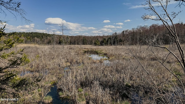 LOTS25 N Washington State Rd, Washington, MA 01223