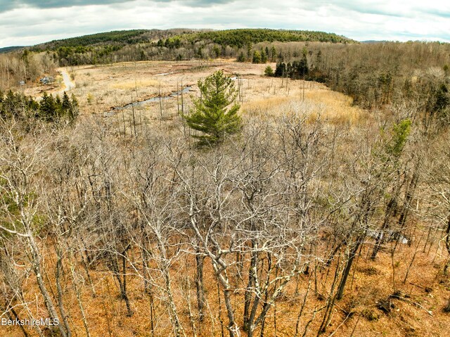 LOTS25 N Washington State Rd, Washington, MA 01223
