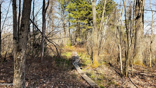 LOTS25 N Washington State Rd, Washington, MA 01223
