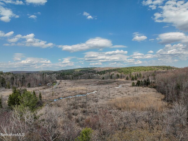 LOTS25 N Washington State Rd, Washington, MA 01223