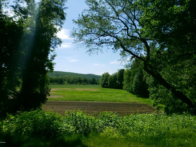 view of landscape featuring a rural view