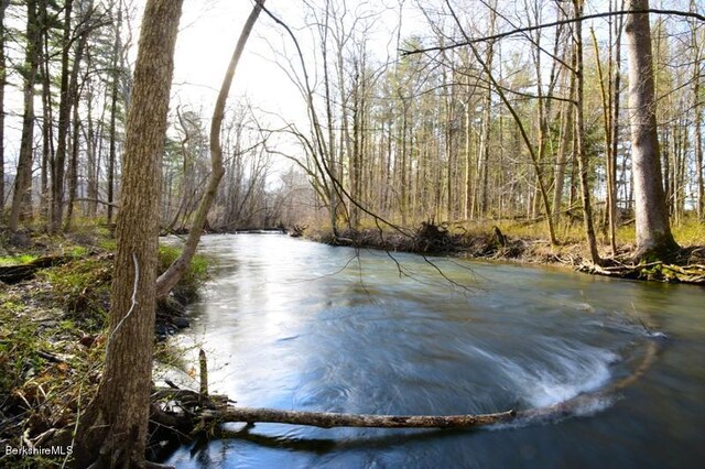 water view featuring a forest view