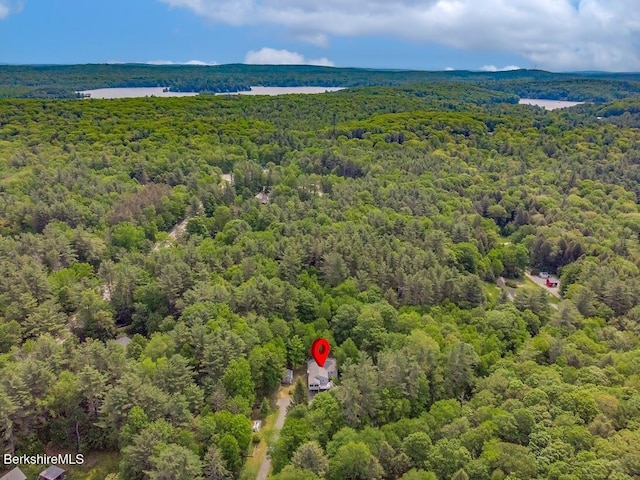 49 Bryant Rd, Otis, MA 01253 - aerial view of a heavily wooded area