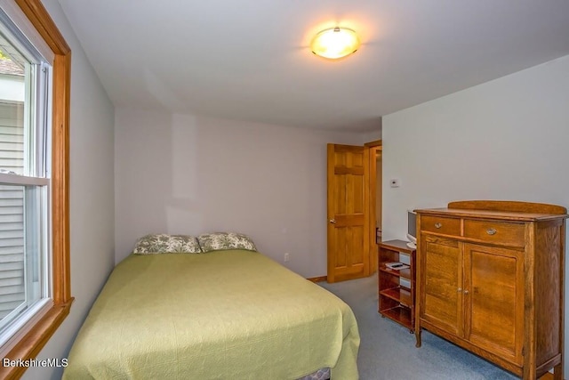 49 Bryant Rd, Otis, MA 01253 - bedroom featuring carpet flooring
