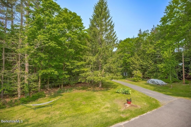 49 Bryant Rd, Otis, MA 01253 - view of property's community featuring a yard