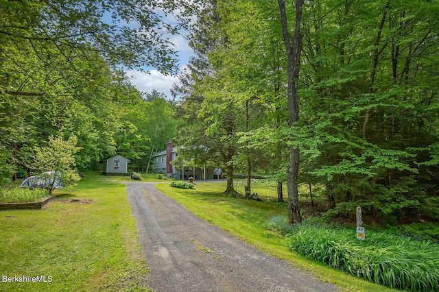 49 Bryant Rd, Otis, MA 01253 - view of front of house featuring a front yard and a view of trees