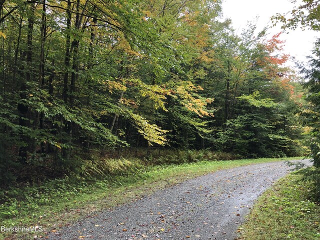 0 Trail Cir, Becket, MA 01223
