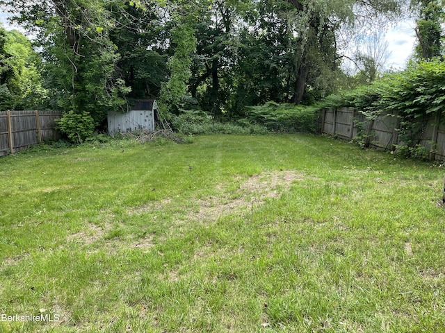 94 John St, Pittsfield, MA 01201 - view of yard with a shed