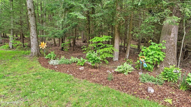 505 Kirchner Rd, Dalton, MA 01226 - view of yard
