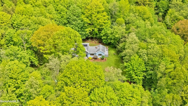 505 Kirchner Rd, Dalton, MA 01226 - aerial view of property and surrounding area featuring a heavily wooded area