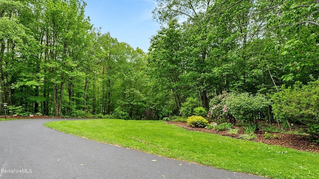 505 Kirchner Rd, Dalton, MA 01226 - view of grassy yard