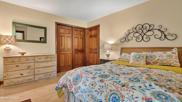505 Kirchner Rd, Dalton, MA 01226 - bedroom featuring light wood-style flooring and a closet