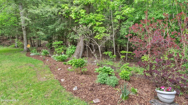 505 Kirchner Rd, Dalton, MA 01226 - view of local wilderness