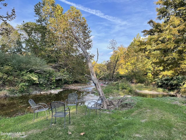 view of yard with a water view