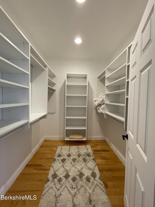 spacious closet featuring wood-type flooring