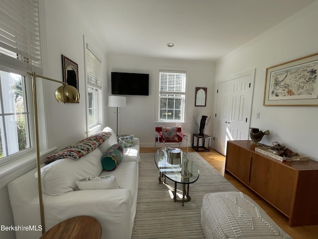 living room with light wood-type flooring