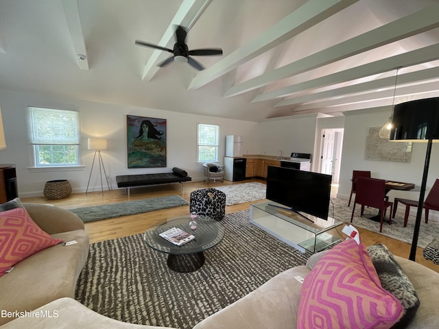 living room featuring ceiling fan, a healthy amount of sunlight, light wood-type flooring, and lofted ceiling with beams