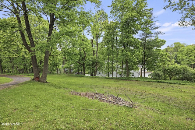 9 High St, Lenox, MA 01240 - view of grassy yard