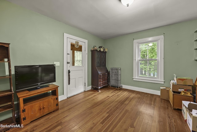 9 High St, Lenox, MA 01240 - office space with hardwood / wood-style flooring, baseboards, and radiator