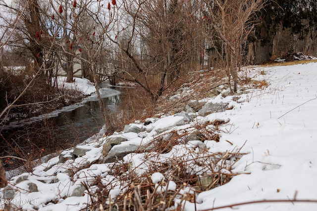 view of snowy landscape